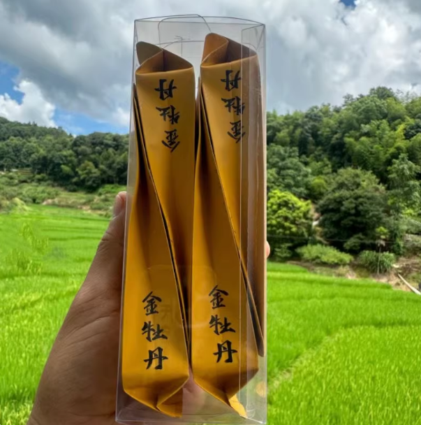 坦洋工夫正品名茶红茶伴手礼茶叶礼盒装新茶送礼